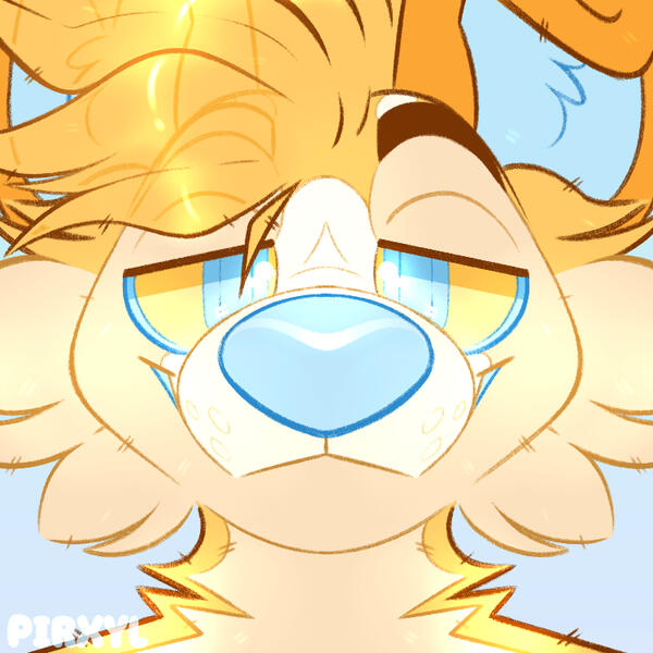 Finnley Icon Finnley Icon